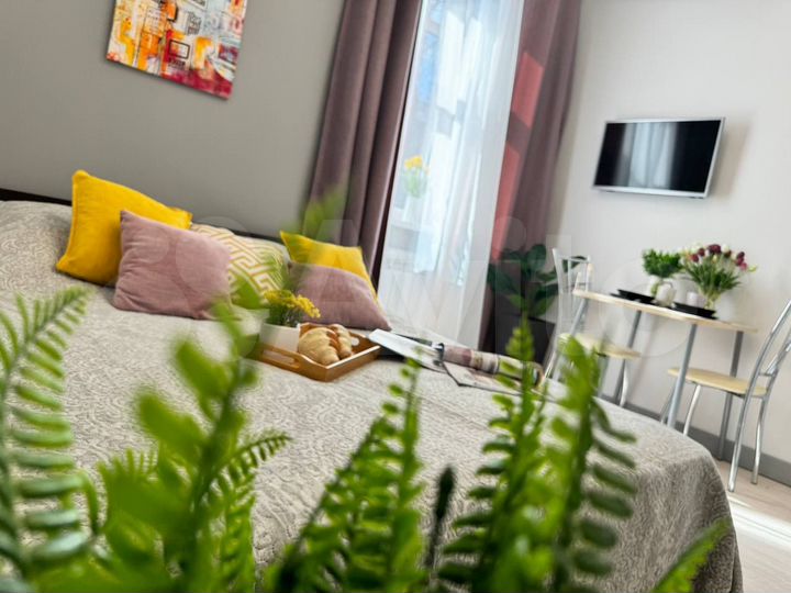 Квартира-студия, 23 м², 2/4 эт.