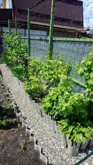 Дом 20 м² на участке 4,9 сот.