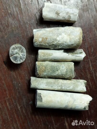 Белемнит (чёртов палец) 210 грамм