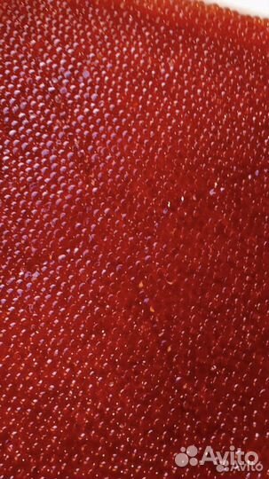 Икра красная