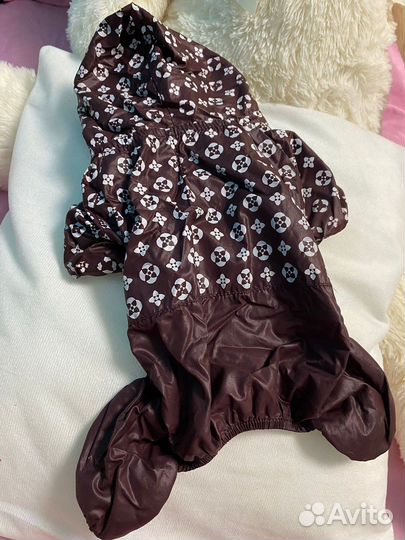 Одежда для собак