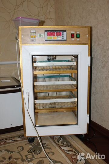 Инкубатор