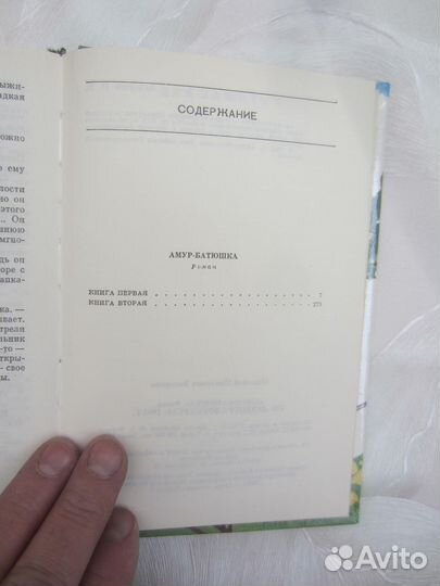 Н. Задорнов. Амур батюшка. 1993 год