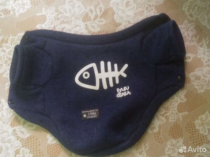 Кофта и шлейка на маленькую собачку