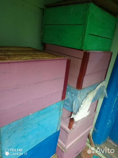 Ульи дадан 12