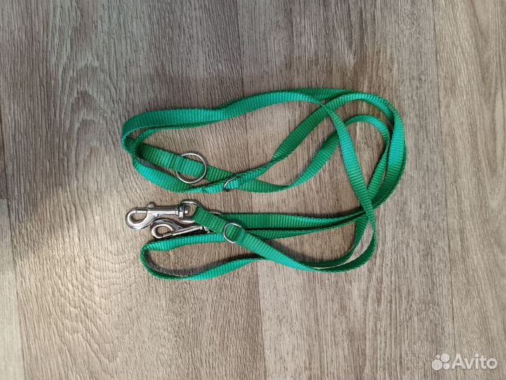 Амуниция для собак