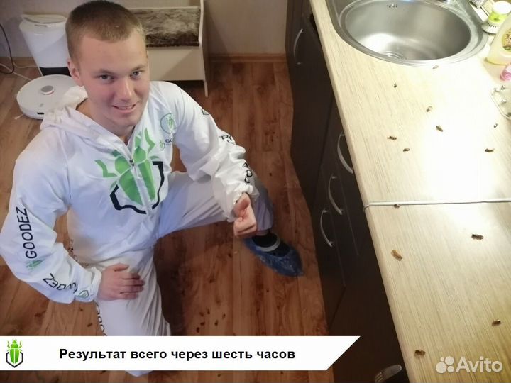 Дезинфекция и Дезинсекция от Честного Мастера