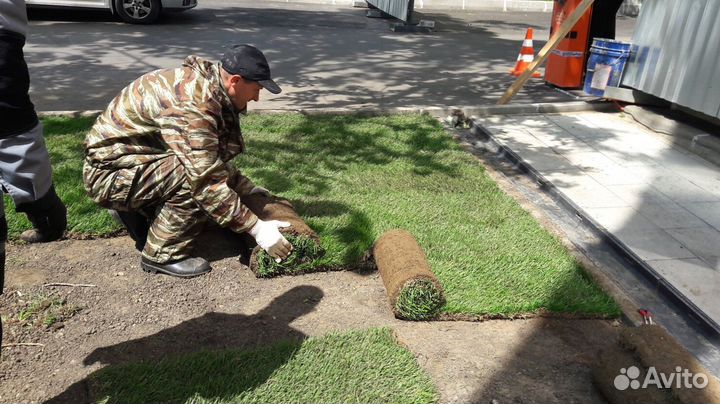 Рулонный газон от производителя. Укладка газона