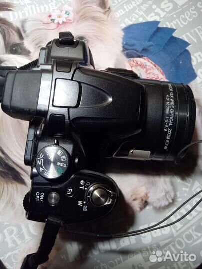 Nikon Coolpix p520