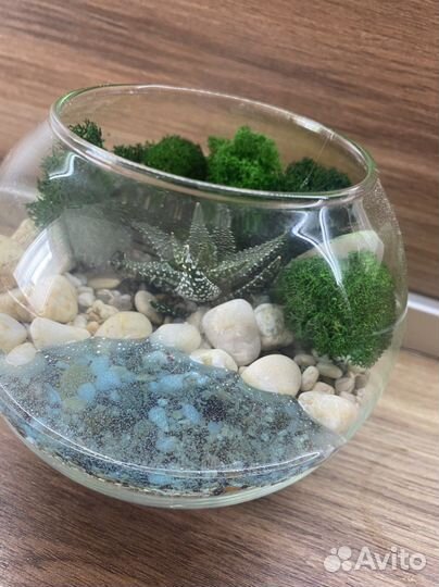 Флорариум с водоемом