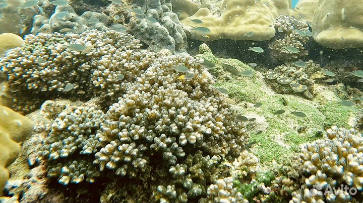 Аренда яхты пхукет