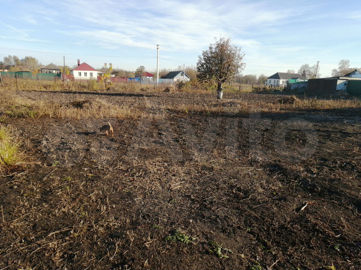 Дом 80 м² на участке 20 сот.