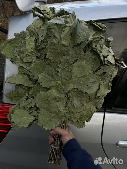 Березовые веники