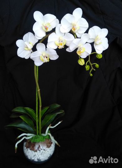 Орхидея фаленопсис белая цветы из холодного фарфор