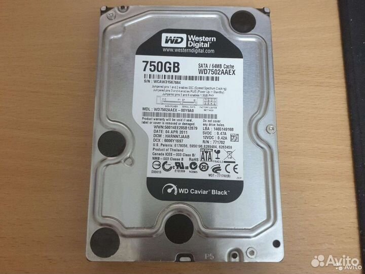 Жесткий диск WD Caviar Black 750 Гб WD7502aaex