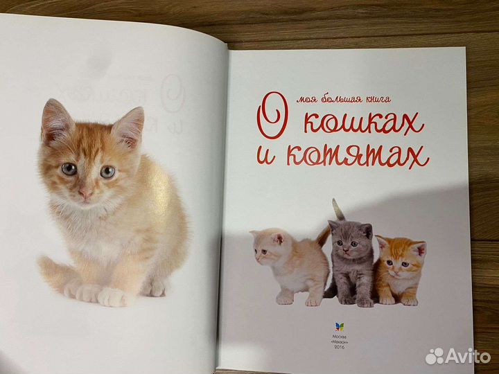 Моя большая книга о кошках и котятах