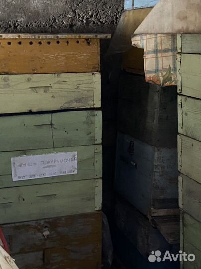 Пчелиные ульи