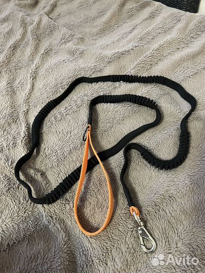 Поводок для собак амортизирующий