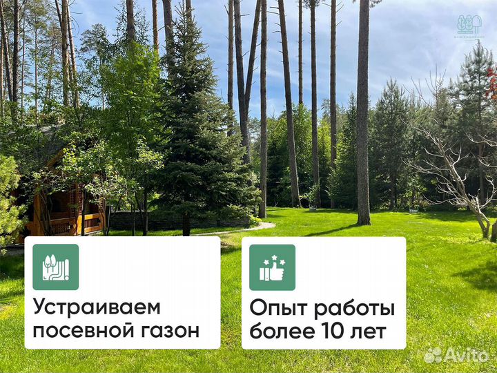 Рулонный газон / автополив