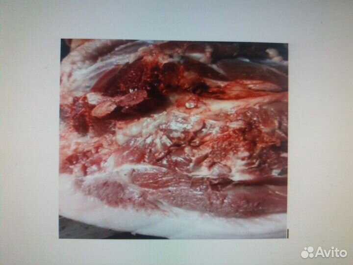 Мясо свинины, голова свиная