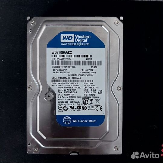 Жесткий диск ssd, жесткий диск Western Digital