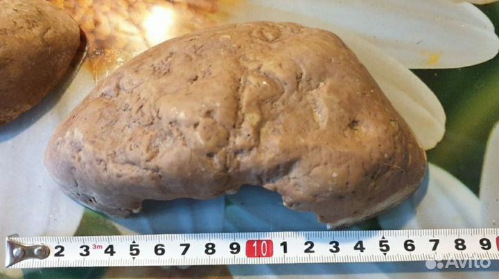 Укрытия для террариумных животных