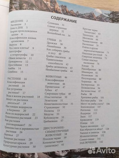 Живая природа для детей