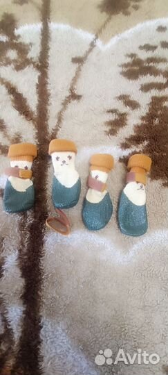 Носочки для собак мелкой породы