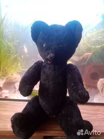 Послевоенный медвежонок