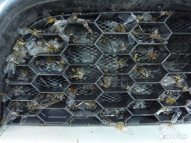 Сетка для бампера