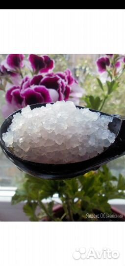 Индийский морской рис