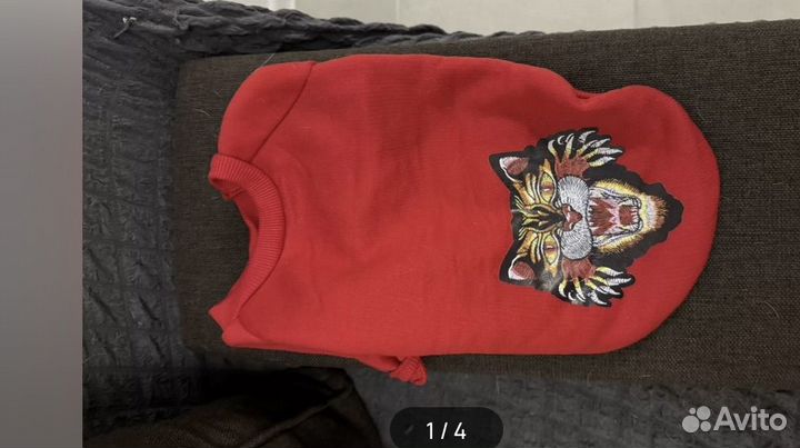 Одежда для собак мелких пород пакетом