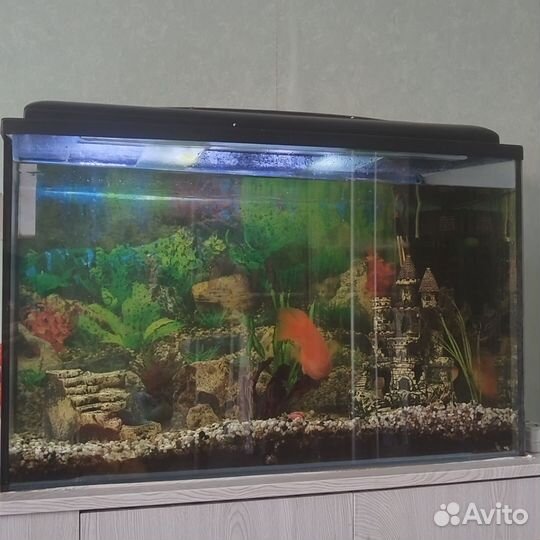 Аквариум