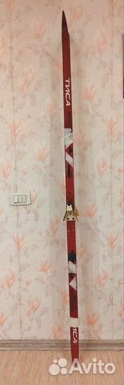 Лыжи беговые Тиса