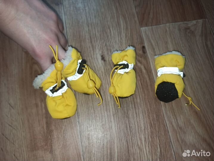 Одежда для собак маленьких пород