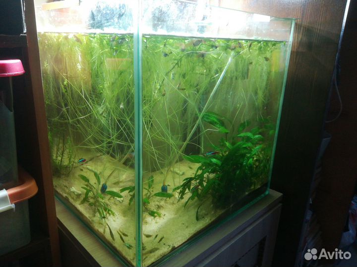 Аквариум кубик