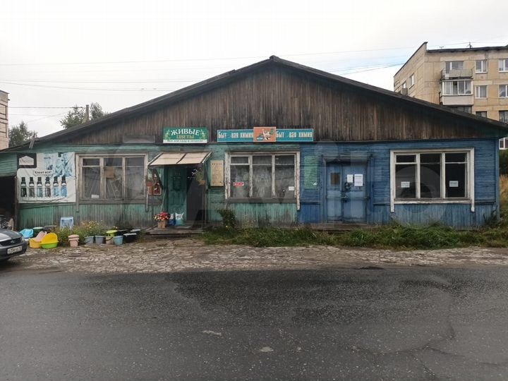 Торговая площадь 65,2 м²