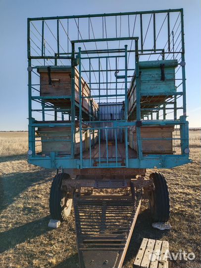 Продам пасеку