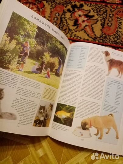 Книга фэн-шуй