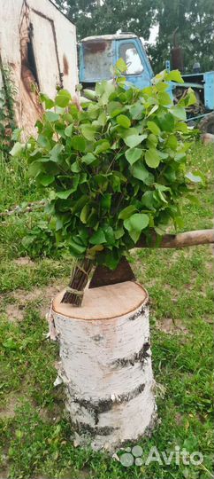 Пихтовые веники