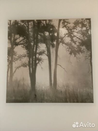 Картина IKEA триптих