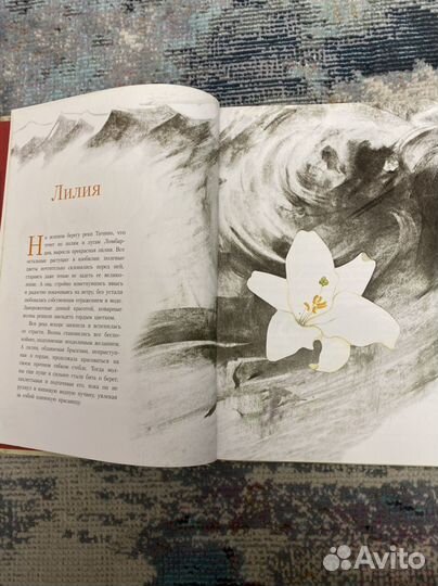 Сказки и легенды Леонардо да Винчи