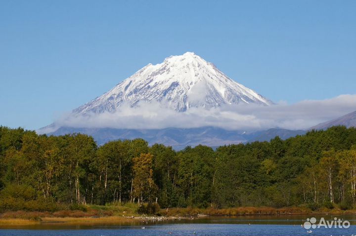 Relax тур на Kamchatku от 7 дн