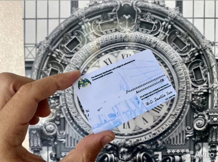 Электронное гражданство Доминика