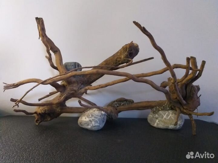 Коряга мангровая. Виноградная лоза. Коряга мопани