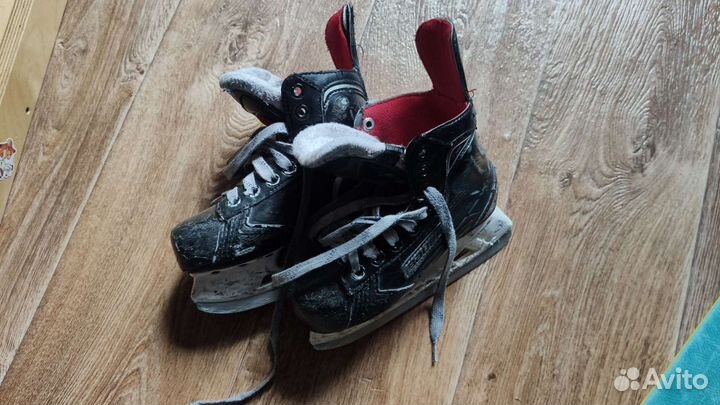 Хоккейные коньки bauer зимние виды спорта