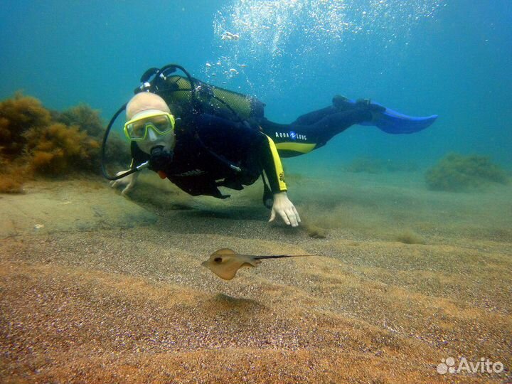 Дайвинг Сочи