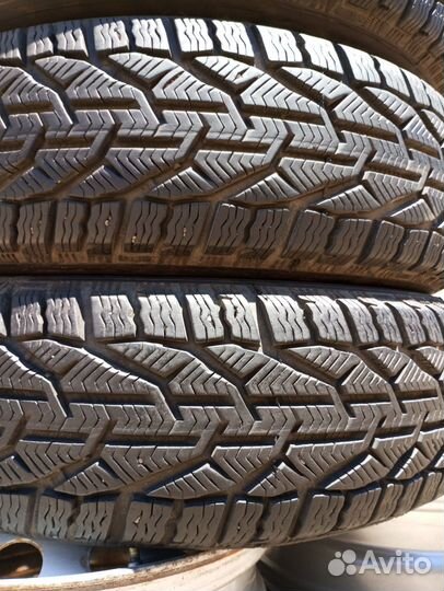 Tigar Winter 185/65 R15 92T