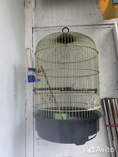 Клетка для птиц бу