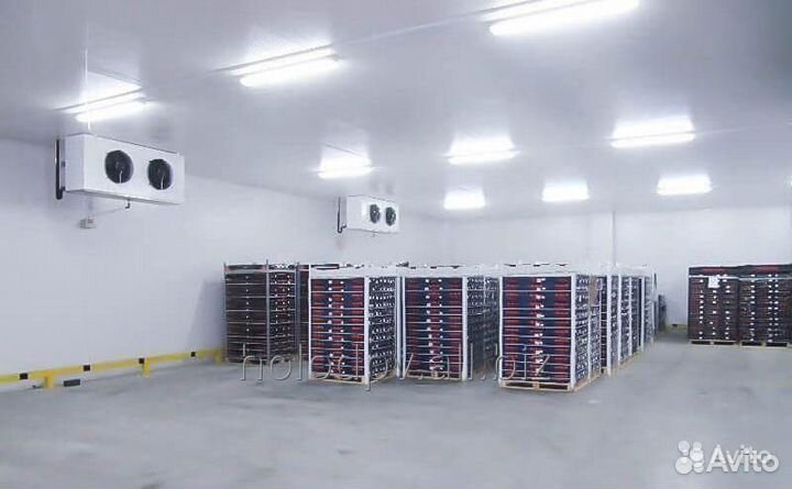 Морозильные камеры. бу. В наличии 150 штук